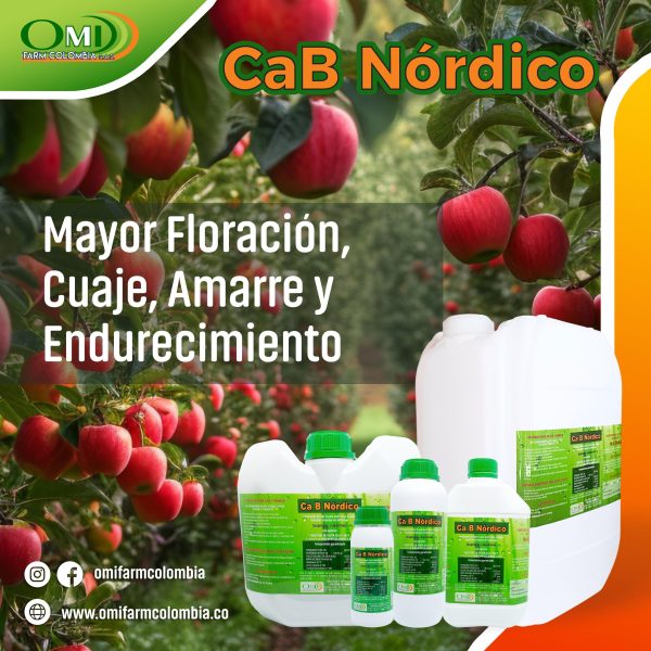 CaB Nórdico